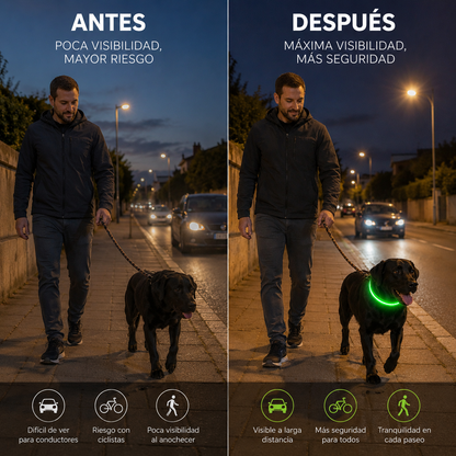 LumiPaw™ Collar LED 360°